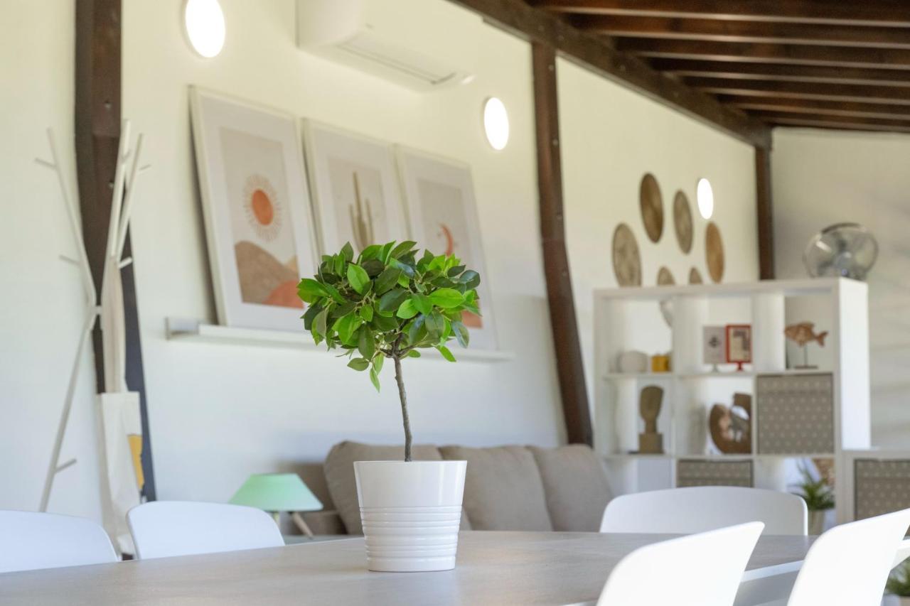 La Monja Moderno Loft Recien Reformado En Santa Cruz De Tenerife מראה חיצוני תמונה